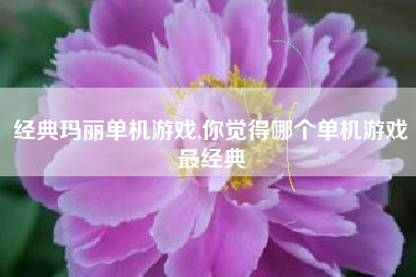 经典玛丽单机游戏,你觉得哪个单机游戏最经典