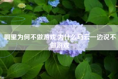 啊里为何不做游戏,为什么马云一边说不做游戏