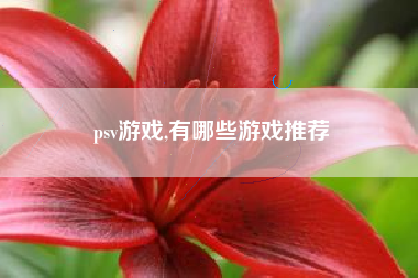 psv游戏,有哪些游戏推荐