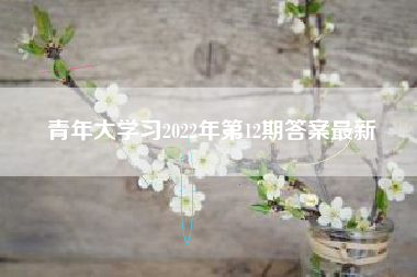 青年大学习2022年第12期答案最新