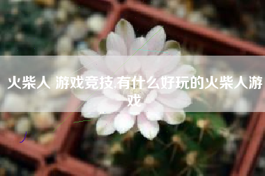 火柴人 游戏竞技,有什么好玩的火柴人游戏