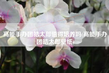 高能手办团皓太郎值得培养吗(高能手办团皓太郎壁纸)