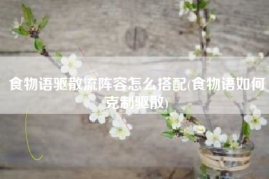 食物语驱散流阵容怎么搭配(食物语如何克制驱散)