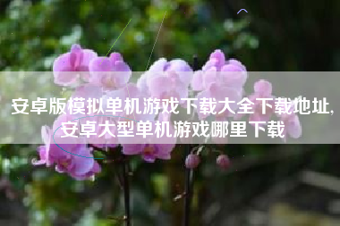 安卓版模拟单机游戏下载大全下载地址,安卓大型单机游戏哪里下载