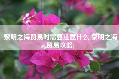 黎明之海贸易时需要注意什么(黎明之海贸易攻略)