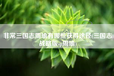 非常三国志周瑜有哪些获得途径(三国志战略版sp周瑜)