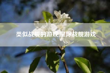 类似战舰的游戏,星际战舰游戏