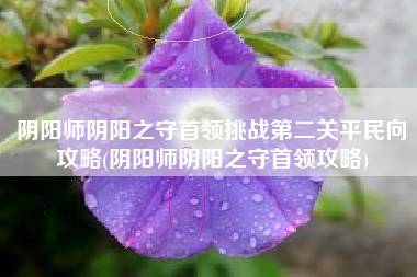 阴阳师阴阳之守首领挑战第二关平民向攻略(阴阳师阴阳之守首领攻略)