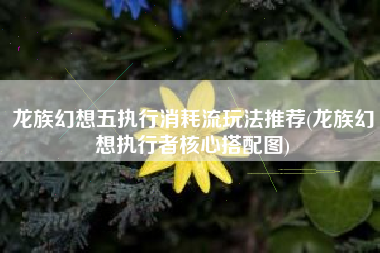龙族幻想五执行消耗流玩法推荐(龙族幻想执行者核心搭配图)