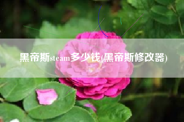 黑帝斯steam多少钱(黑帝斯修改器)