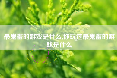 最鬼畜的游戏是什么,你玩过最鬼畜的游戏是什么