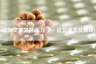 说剑文言文翻译(庄子·说剑原文及翻译)