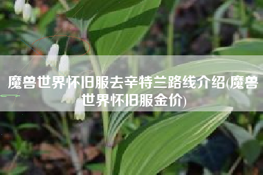 魔兽世界怀旧服去辛特兰路线介绍(魔兽世界怀旧服金价)