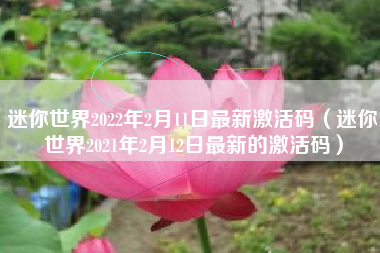 迷你世界2022年2月11日最新激活码（迷你世界2021年2月12日最新的激活码）