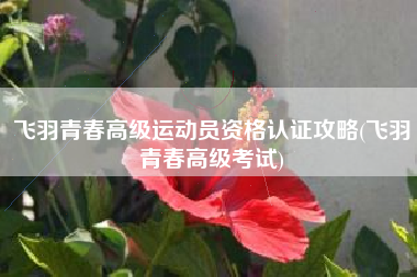 飞羽青春高级运动员资格认证攻略(飞羽青春高级考试)