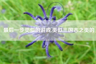 最后一步类似的游戏,类似三国志之类的