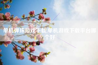 单机弹珠游戏下载,单机游戏下载平台哪个好