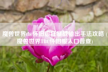 魔兽世界tbc怀旧服狂暴战输出手法攻略 (魔兽世界TBC怀旧服人口普查)
