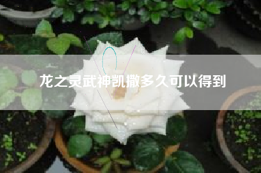 龙之灵武神凯撒多久可以得到