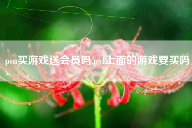 psn买游戏送会员吗,ps4上面的游戏要买吗