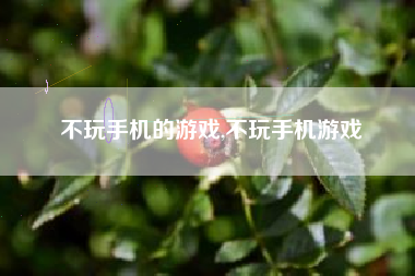 不玩手机的游戏,不玩手机游戏