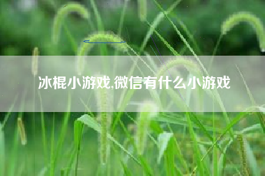 冰棍小游戏,微信有什么小游戏