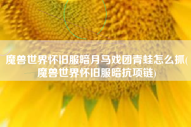 魔兽世界怀旧服暗月马戏团青蛙怎么抓(魔兽世界怀旧服暗抗项链)