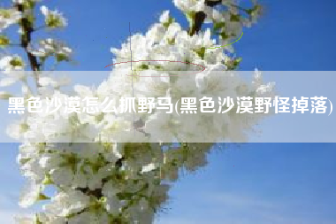 黑色沙漠怎么抓野马(黑色沙漠野怪掉落)