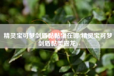 精灵宝可梦剑盾黏黏宝在哪(精灵宝可梦剑盾黏美露龙)