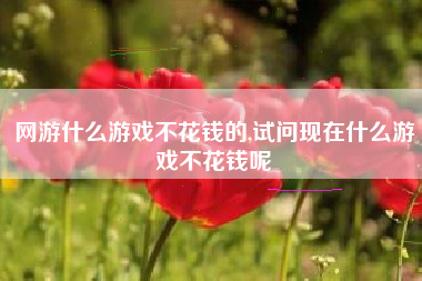 网游什么游戏不花钱的,试问现在什么游戏不花钱呢