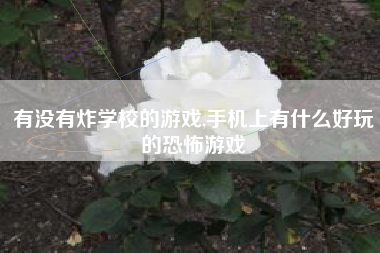 有没有炸学校的游戏,手机上有什么好玩的恐怖游戏