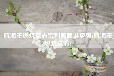 航海王燃烧意志雷利鹰眼谁更强(航海王燃烧意志)