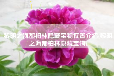 黎明之海都柏林隐藏宝物位置介绍(黎明之海都柏林隐藏宝物)