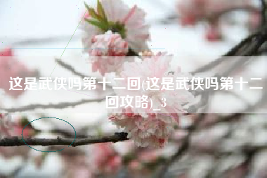 这是武侠吗第十二回(这是武侠吗第十二回攻略)_3