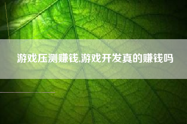 游戏压测赚钱,游戏开发真的赚钱吗