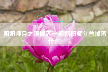 阴阳师月之陨掉落一览(阴阳师年兽掉落什么)