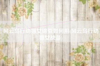 风云岛行动猫女锦囊如何用(风云岛行动猫女战备)