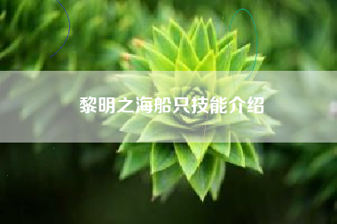 黎明之海船只技能介绍