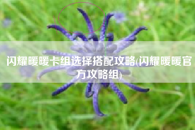 闪耀暖暖卡组选择搭配攻略(闪耀暖暖官方攻略组)