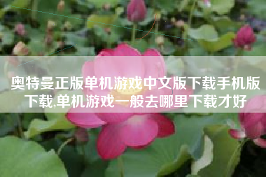 奥特曼正版单机游戏中文版下载手机版下载,单机游戏一般去哪里下载才好