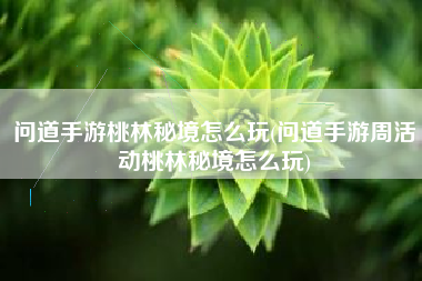 问道手游桃林秘境怎么玩(问道手游周活动桃林秘境怎么玩)