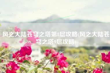 风之大陆苍穹之塔第8层攻略(风之大陆苍穹之塔9层攻略)