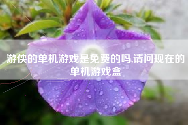 游侠的单机游戏是免费的吗,请问现在的单机游戏盒