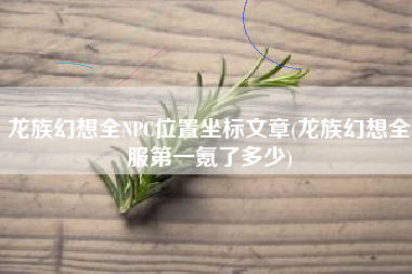 龙族幻想全NPC位置坐标文章(龙族幻想全服第一氪了多少)
