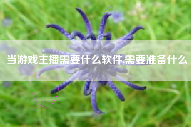 当游戏主播需要什么软件,需要准备什么