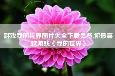 游戏我的世界图片大全下载免费,你最喜欢游戏《我的世界》
