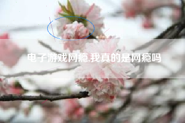 电子游戏网瘾,我真的是网瘾吗