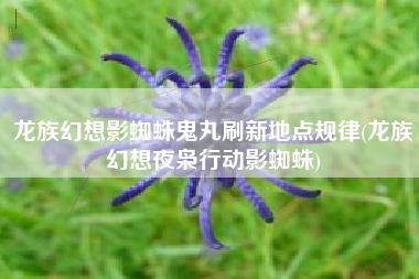 龙族幻想影蜘蛛鬼丸刷新地点规律(龙族幻想夜枭行动影蜘蛛)