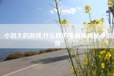 小到大的游戏,什么样的电脑游戏是小游戏