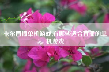 卡尔直播单机游戏,有哪些适合直播的单机游戏